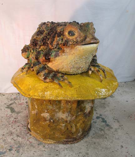 Toronto toad