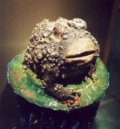 Detroit toad